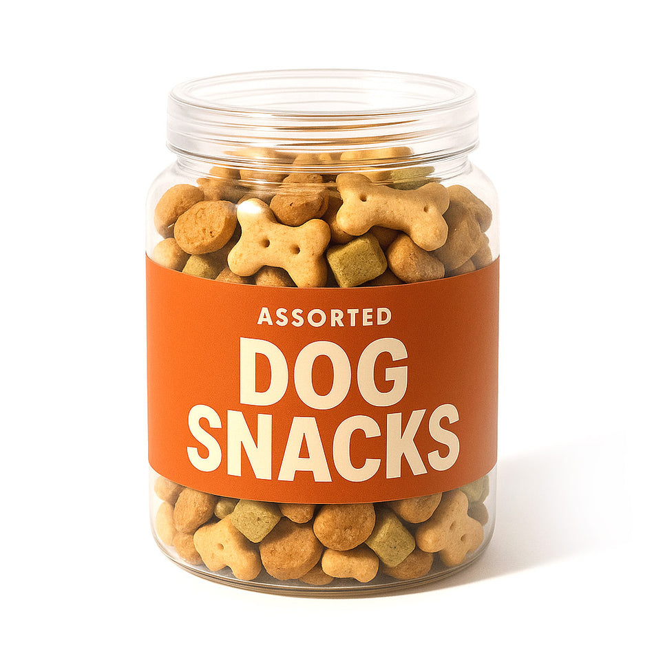 Lizard Haven Travel-Ready Soft Dog Snacks (Assorted)