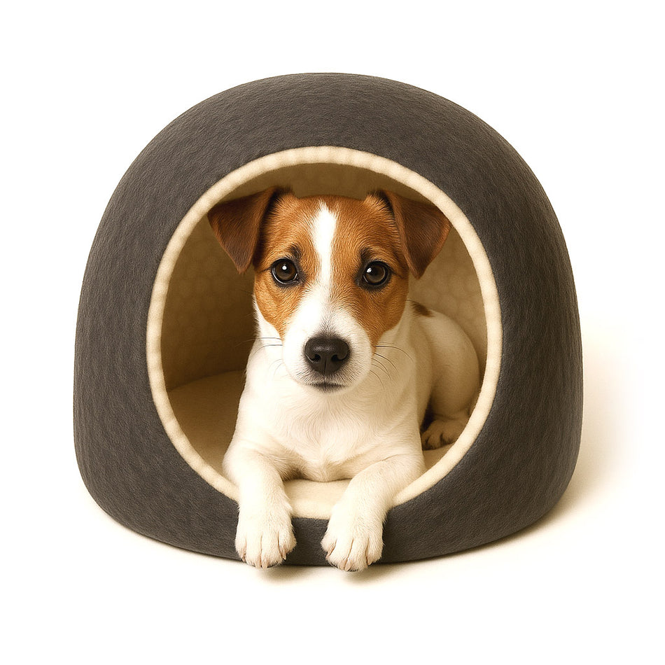 Pawtropolis Deluxe Felt Pet Bed / Igloo