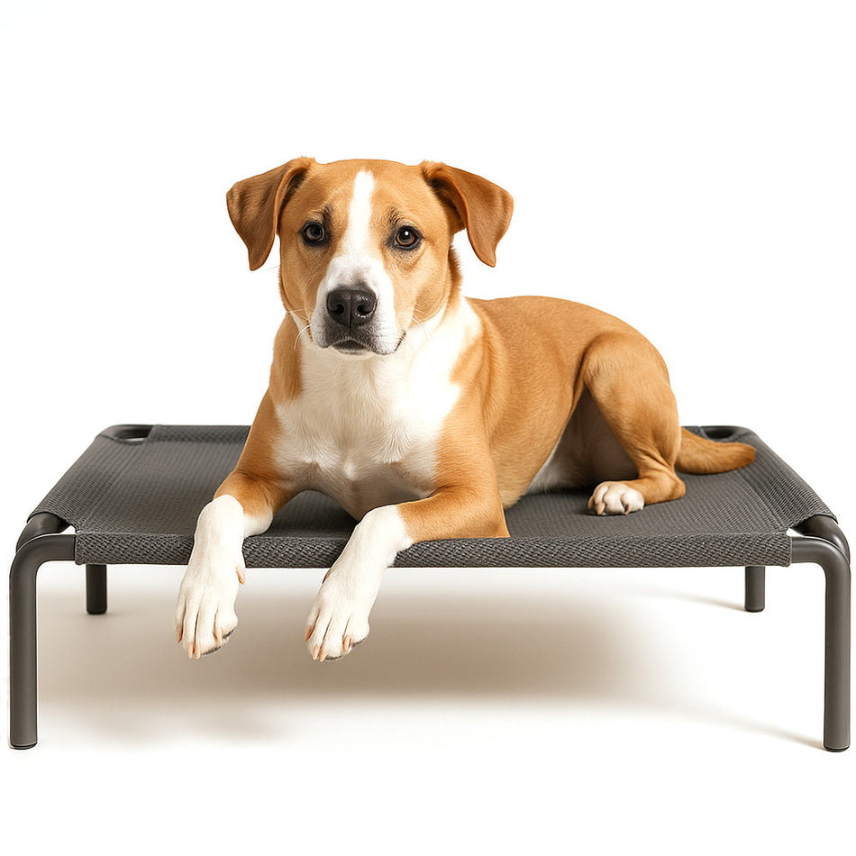 Tug Tribe Elevated Outdoor Pet Bed / Cot