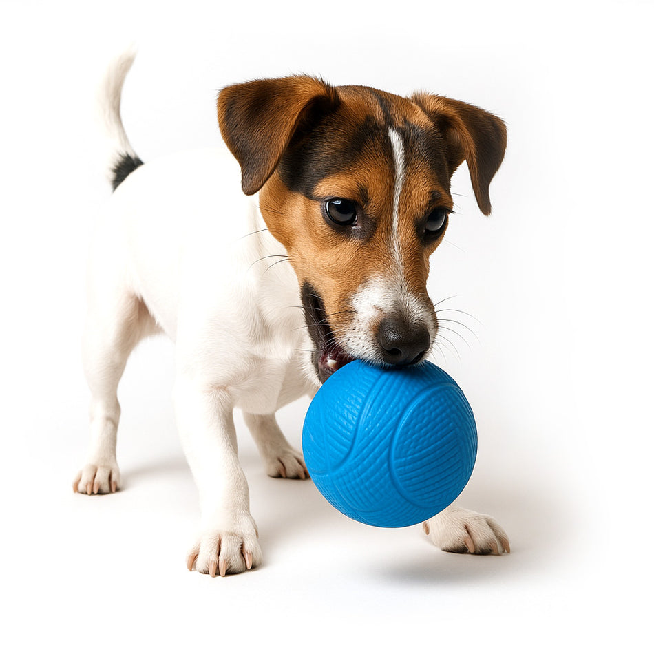 Scenthound Interactive Blue Rubber Ball Toy