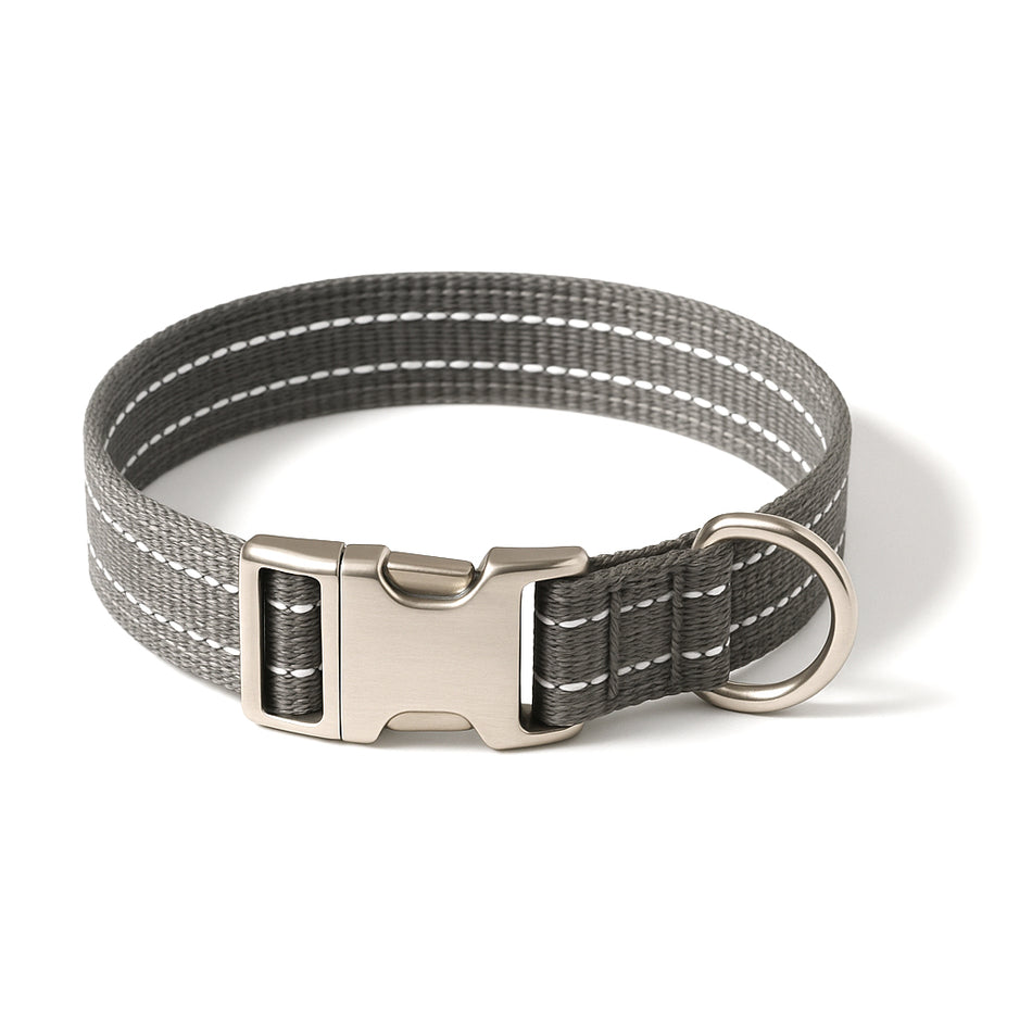 Pawtropolis Reflective Dog Collar with Metal Buckle