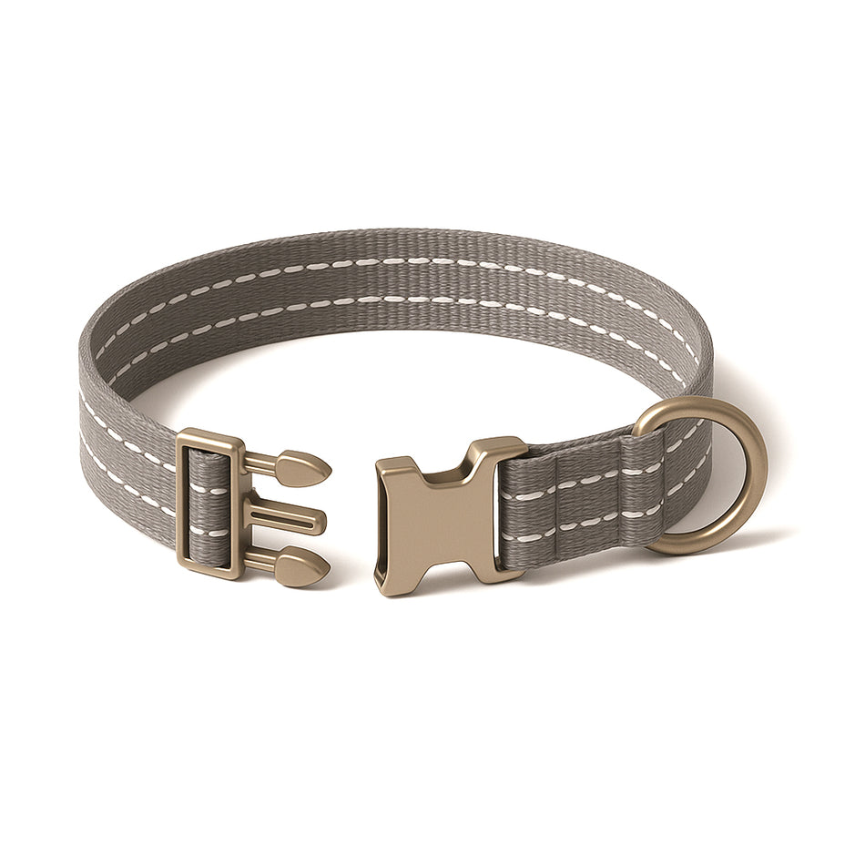 Pawtropolis Reflective Dog Collar with Metal Buckle